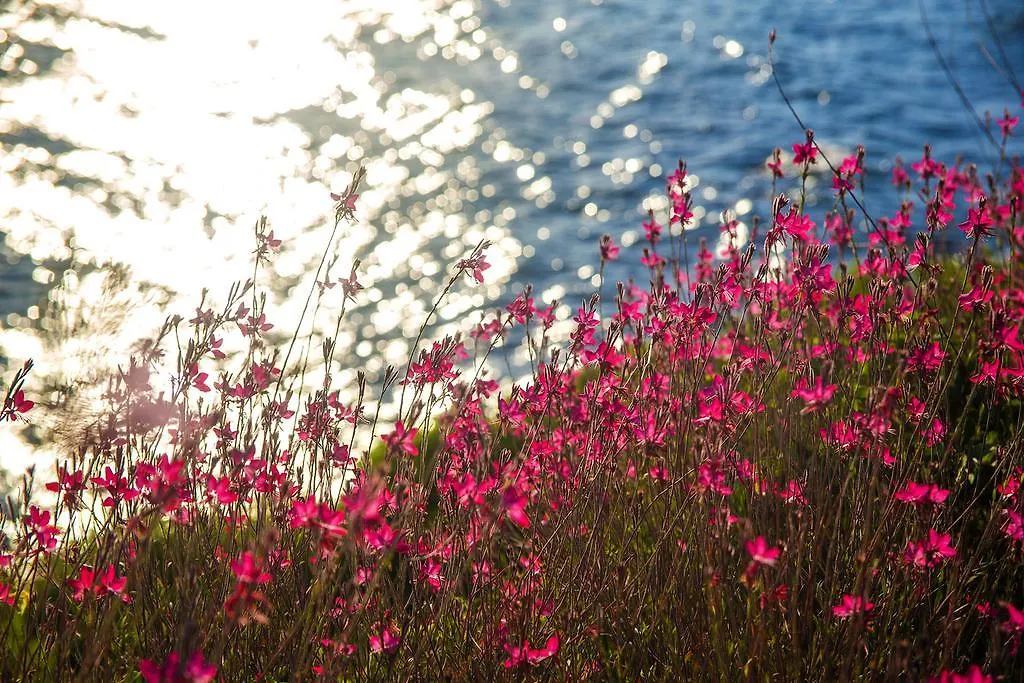 The Qasr Bodrum Halal Resort & Spa Gündoğan 0*,